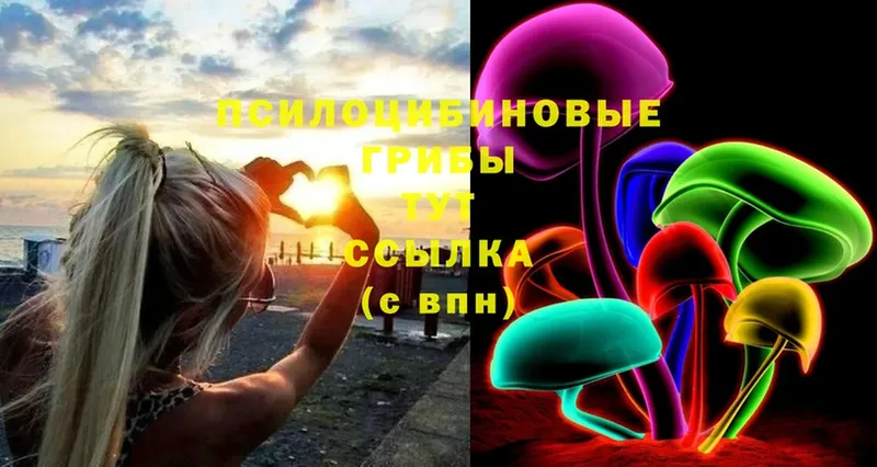 Псилоцибиновые грибы Cubensis  omg как зайти  Тюкалинск 